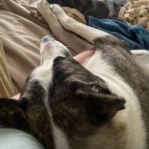 Meet your Posher, Delaney